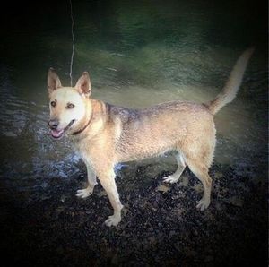 Meet your Posher, Gaynelle